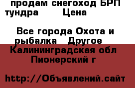 продам снегоход БРП тундра 550 › Цена ­ 450 000 - Все города Охота и рыбалка » Другое   . Калининградская обл.,Пионерский г.